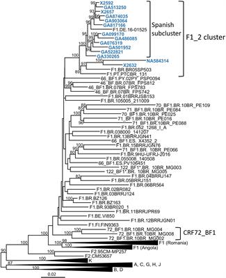 Viruses Previously Identified in Brazil as Belonging to HIV-1 CRF72_BF1 Represent Two Closely Related Circulating Recombinant Forms, One of Which, Designated CRF122_BF1, Is Also Circulating in Spain